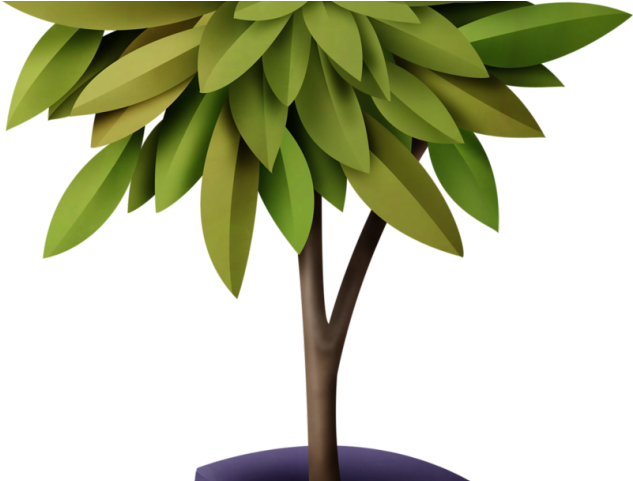 Bushes Clipart Yucca - Cliparts Images Of A Plant (640x480), Png Download