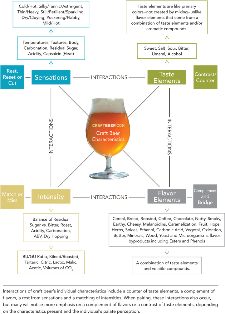 [infographic] Tips For Pairing Beer With Food - Craft Beer Characteristics (725x1013), Png Download