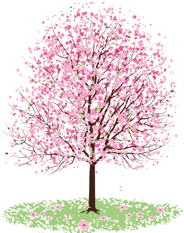 28 Collection Of Cherry Clipart Tumblr - Transparent Tree (600x750), Png Download