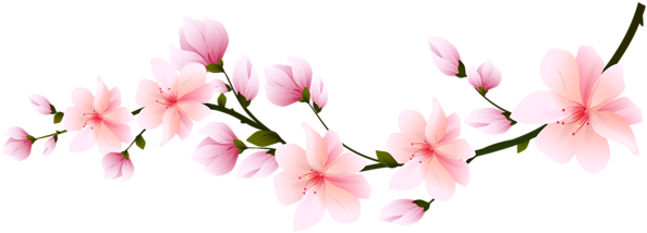 JadeFire170’s 𝕀𝕥’𝕤 𝔸 𝔹𝕖𝕒𝕦𝕥𝕚𝕗𝕦𝕝 𝔻𝕖𝕝𝕚𝕘𝕙𝕥𝕗𝕦𝕝 𝔻𝕒𝕪 on Planet Minecraft