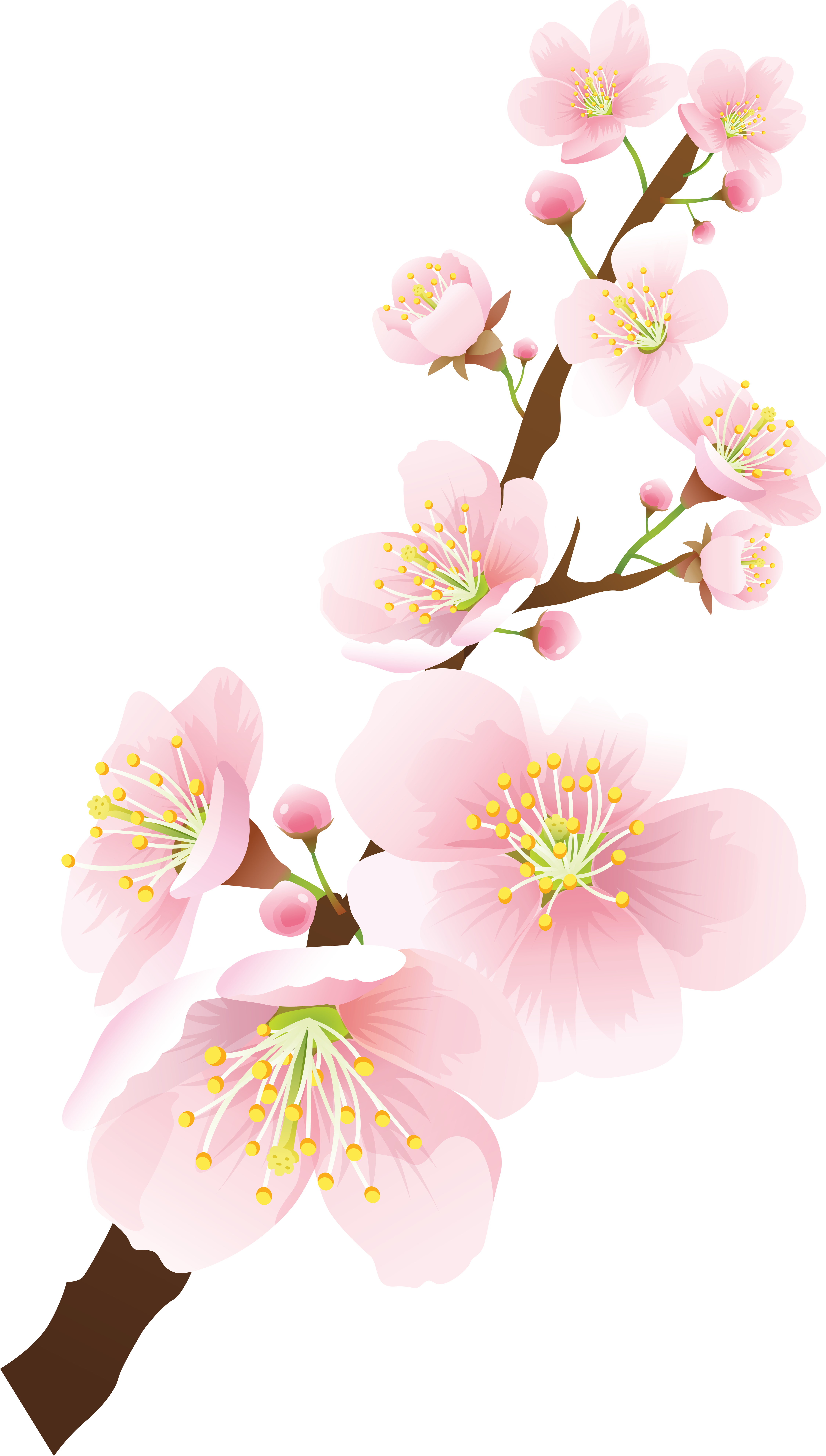 View Full Size - Clip Art (4573x8000), Png Download