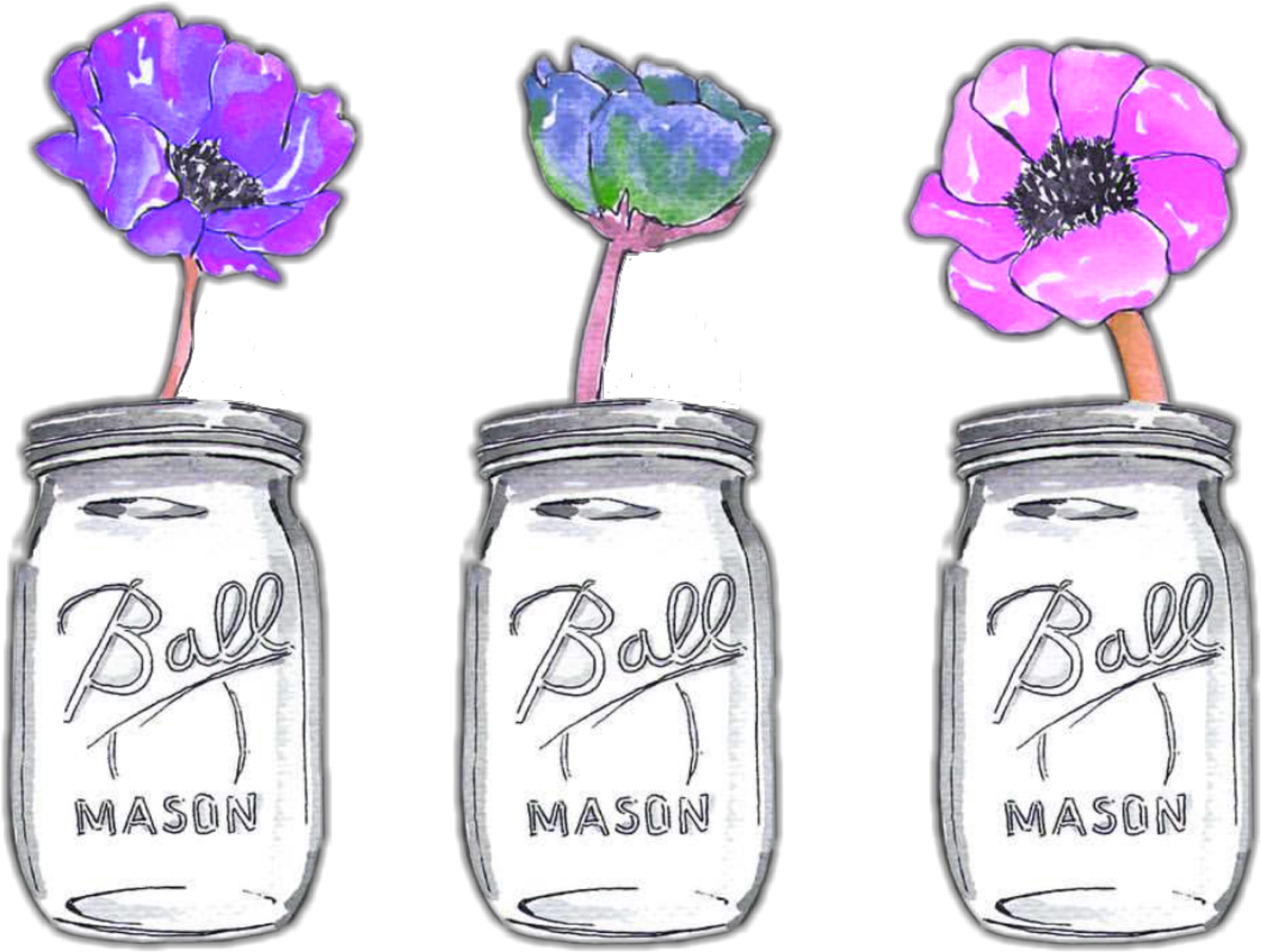 #ftestickers #watercolor #flowers #masonjars #colorful - Illustration (2289x2289), Png Download