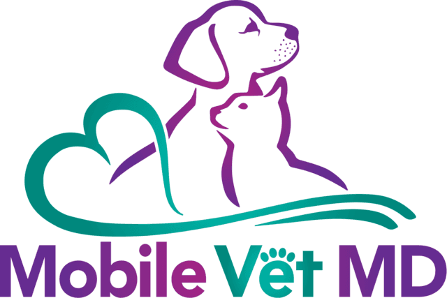 Fourth Of July Pet Safety - Pet (640x427), Png Download