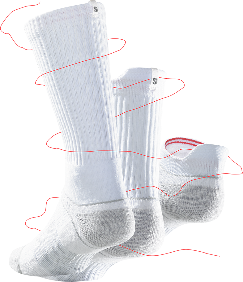 Cleveland Browns (786x910), Png Download