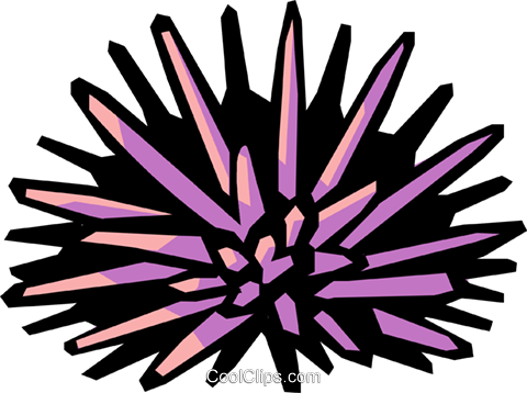Sea Urchin Royalty Free Vector Clip Art Illustration - Sea Urchin Clipart (480x358), Png Download