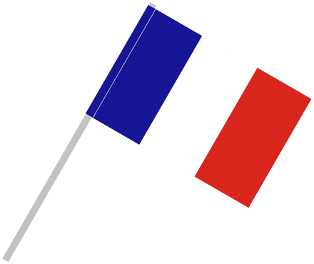 Download Png Image Report - France Flag Pole Png (591x394), Png Download