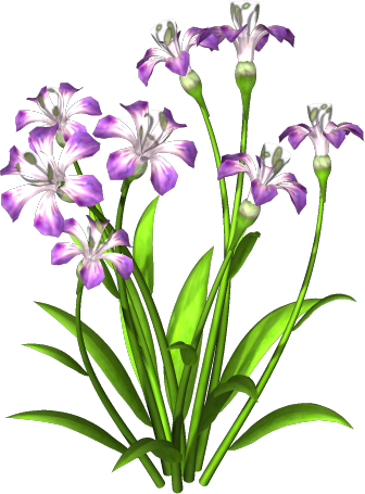 Free Icons Png - Plants With Flower Png (336x455), Png Download
