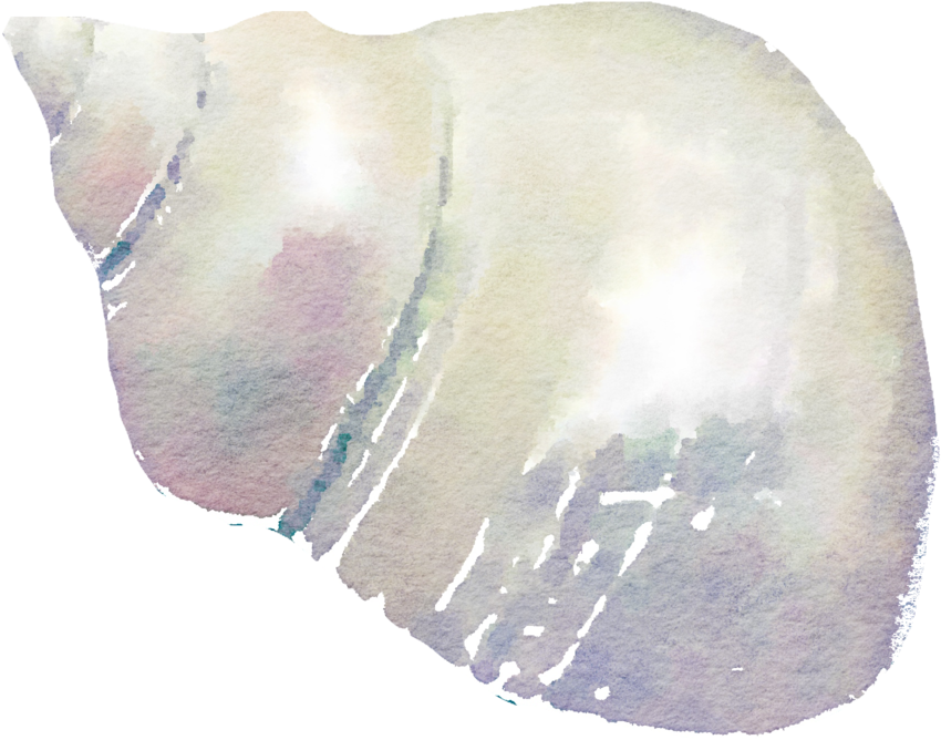 Image Result For Watercolor Images - Watercolor Painting (1024x829), Png Download