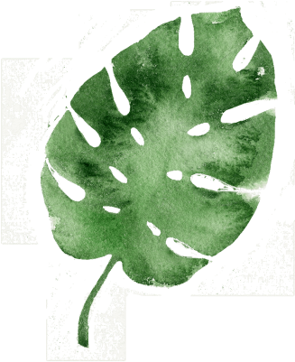 Thrilling Water Experiences Await At East Beach - Cheap Table Linens Plant Print Heat Insulation Non (360x420), Png Download