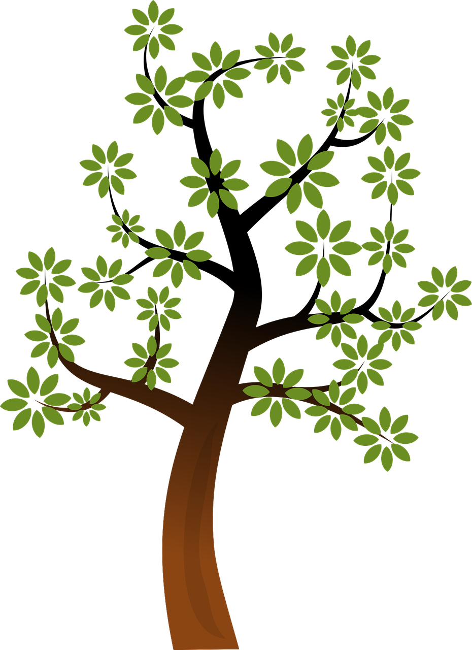 Bare Tree Clipart Free Clipart - Public Domain Tree Clipart (494x678), Png Download