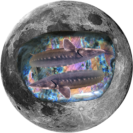 Changed In The Night (480x480), Png Download