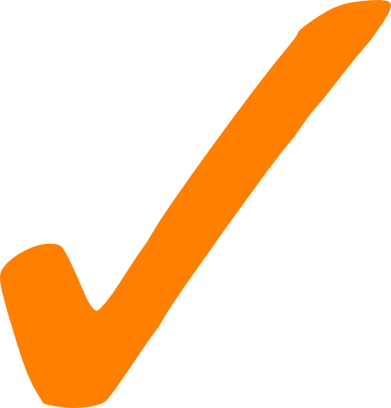Fair Nike Air Force 1 Office Backyard Style New In - Orange Check Mark Png (570x594), Png Download