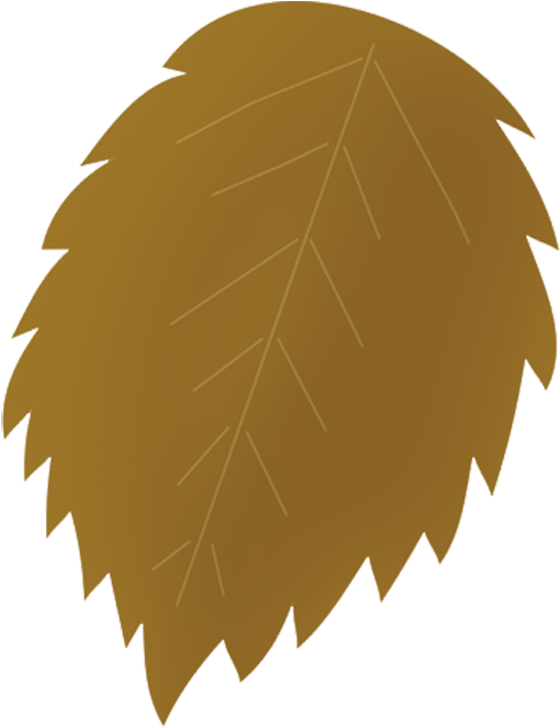 Grey Brown Autumn Leaf - Autumn Leaf Color (618x768), Png Download