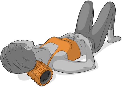 Foam Roller Clipart Png - Clip Art (480x433), Png Download