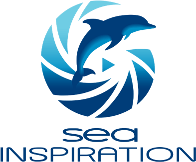 Sea Inspiration - Sea (400x330), Png Download