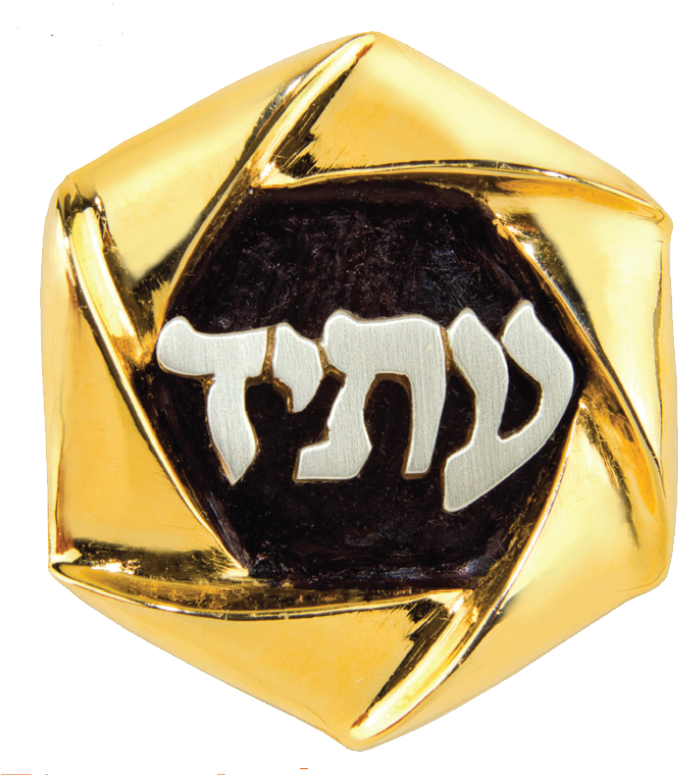 2018 2021 Torah Fund Pin - Ring (853x798), Png Download