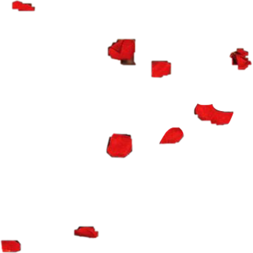 Rose Sticker (1024x1024), Png Download