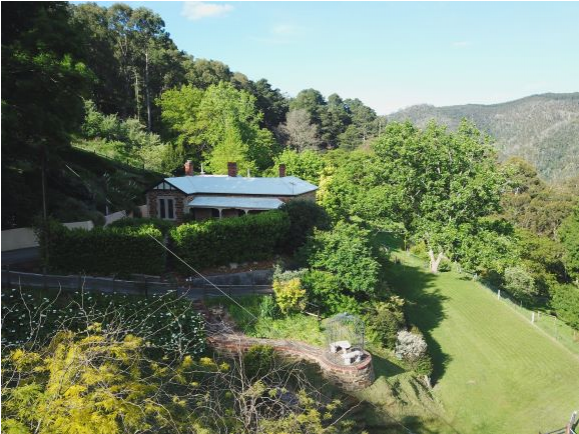 Hills Estate In Stunning Landscape Near City - Tree (800x533), Png Download