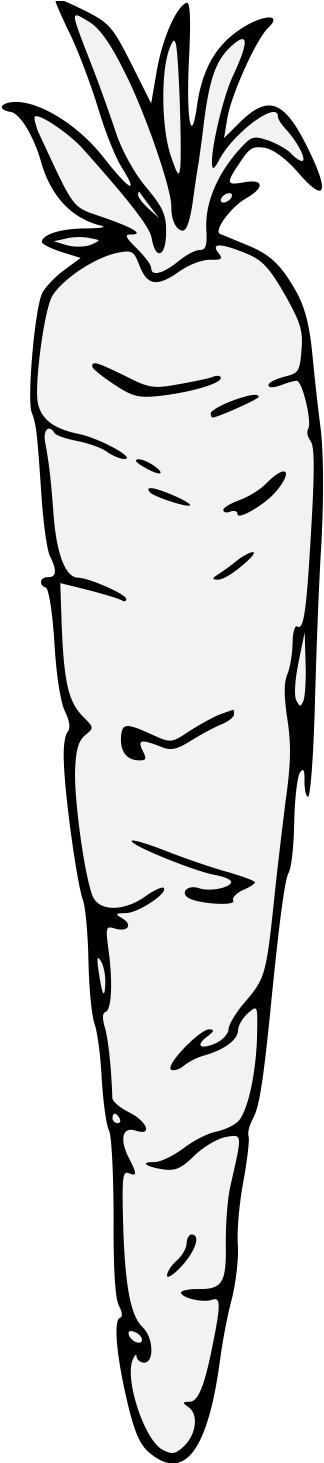 Carrot (332x1462), Png Download