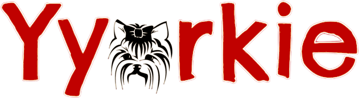 Yorkshire Terrier (1920x612), Png Download