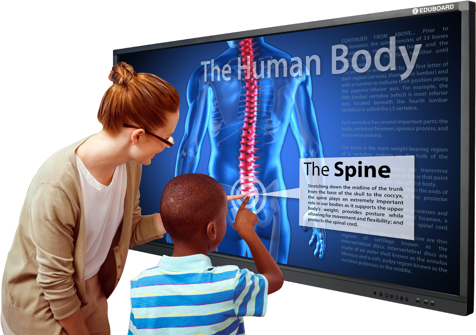 Edutouch Led 65" And 75" Interactive Education Panels - Banner (1600x1106), Png Download