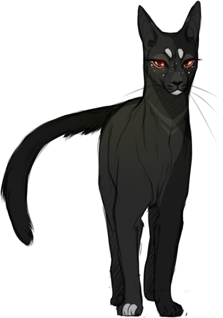 Warrior Drawing, Warrior Cat Drawings, Warrior Cats - Cat Yawns (769x1040), Png Download