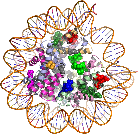3-d View Of Mutations May Identify Potential Targets - Cancer Proteins (600x558), Png Download
