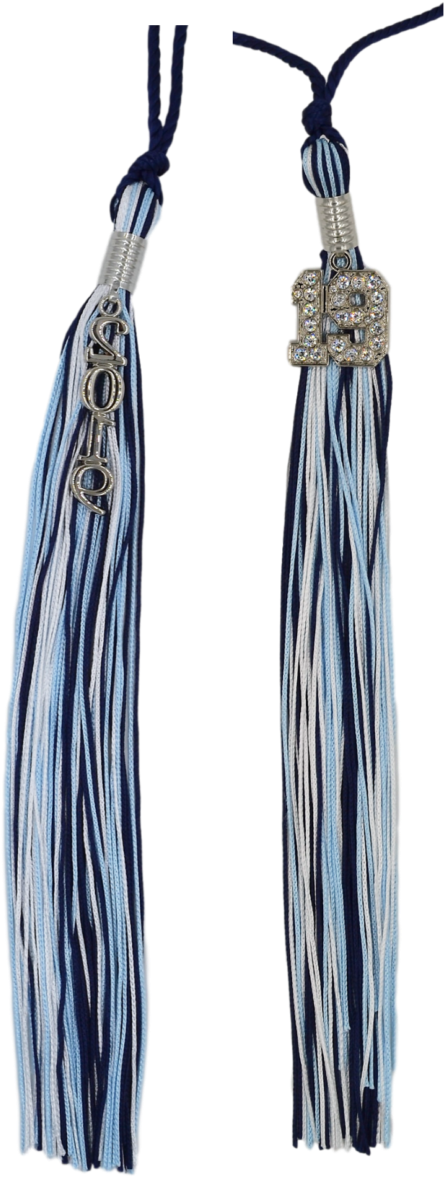 Souvenir Tassel - Earrings (500x1366), Png Download