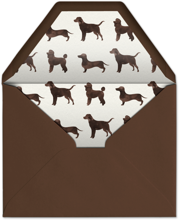 What Is Premium - Grizzly Bear (620x765), Png Download