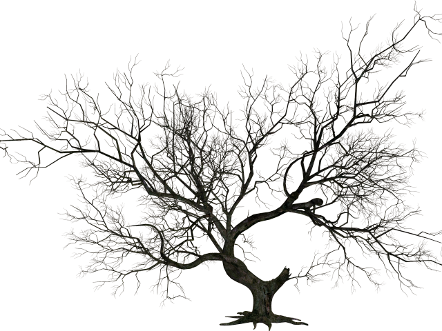 Gate Clipart Graveyard Gate - Halloween Tree Clipart Png (640x480), Png Download