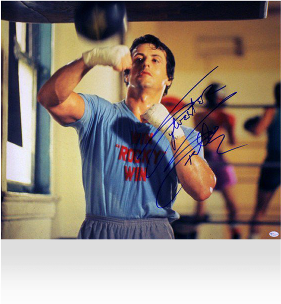Zoom - Sylvester Stallone Win Rocky Win (650x665), Png Download