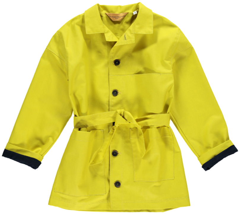 The Animals Observatory Lion - Trench Coat (960x720), Png Download