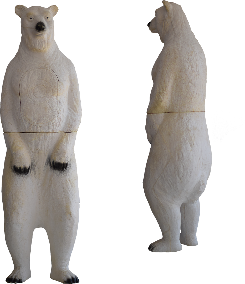 Polar Bear (932x1080), Png Download