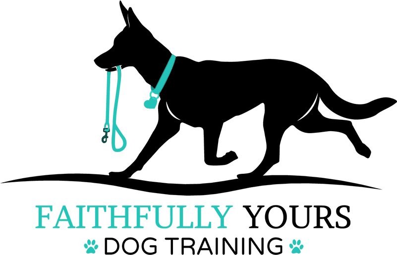 Faithfully Yours Dog Training, Llc - Dog Trainer (800x528), Png Download