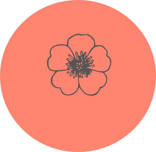 Poppy Png (600x588), Png Download
