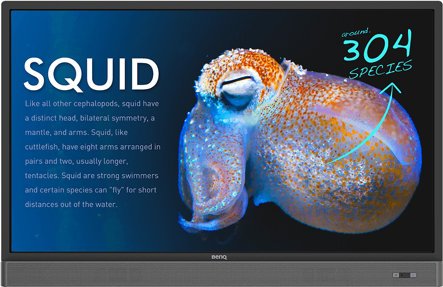 4k Uhd 55” Education Interactive Flat Panel Display - Benq 55 Inch 4k (1000x1000), Png Download
