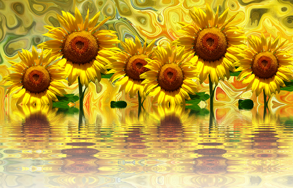 Girasoles Png - Imagenes De Girasoles Png (960x617), Png Download