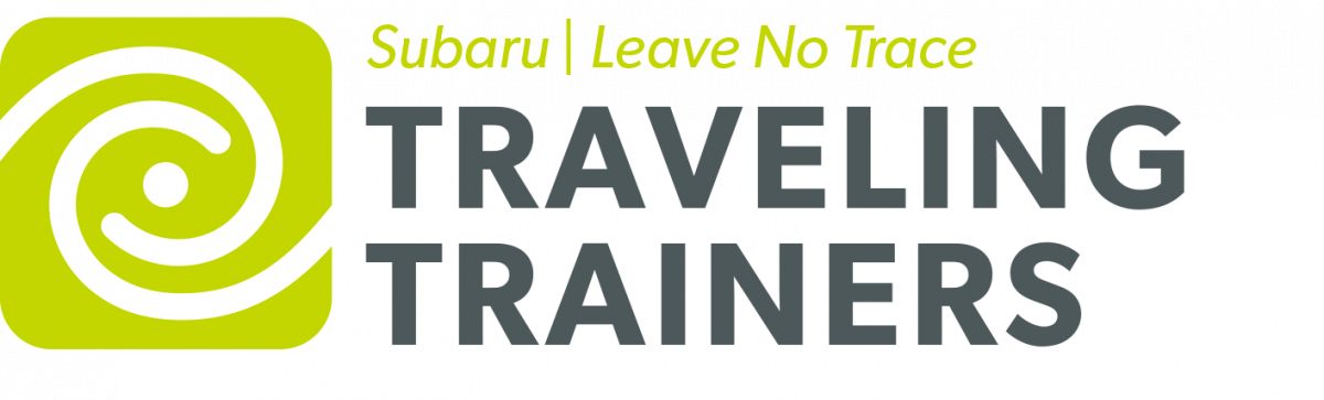 Travelingtrainer Logo 0 - Poster (1200x363), Png Download