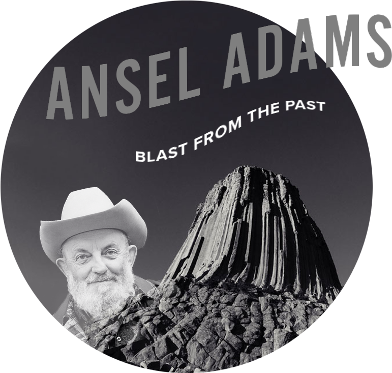 2018 Anseladams - Monochrome (905x856), Png Download