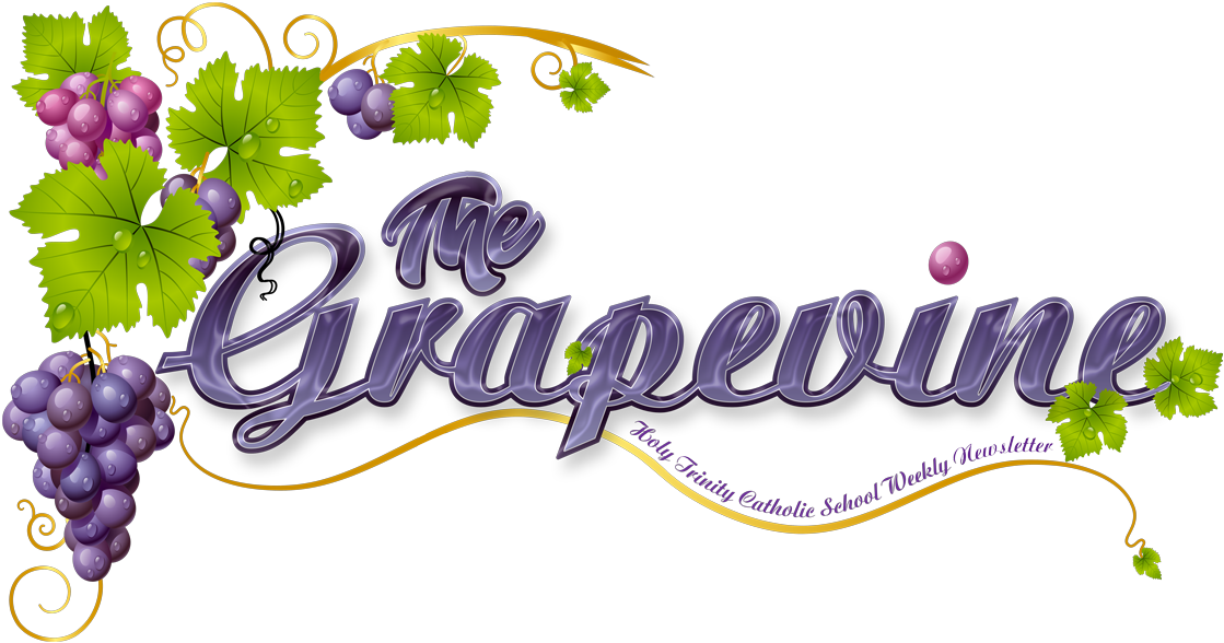 14 Nov,2018 - Grape Vine Clipart (1170x633), Png Download