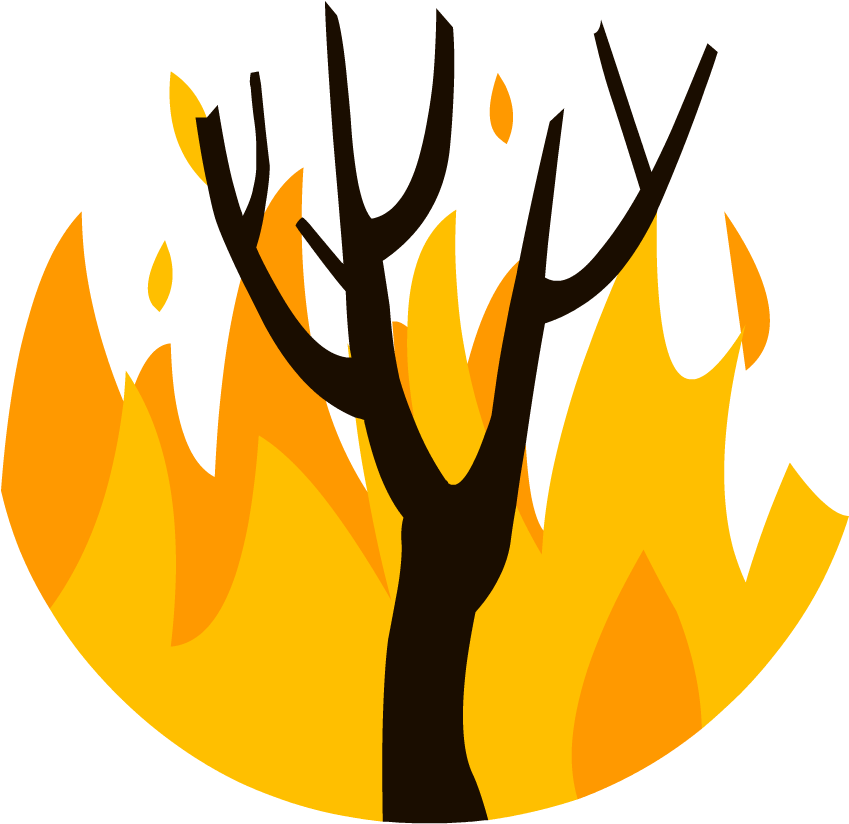 Wildfire Clipart Png (880x880), Png Download