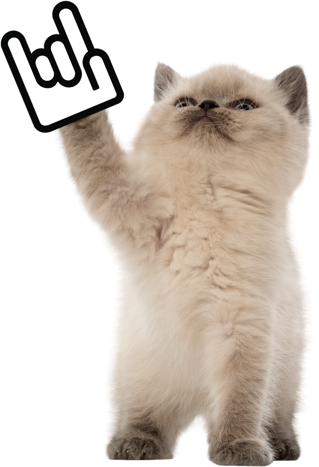Todd Taiwan Startup Stadium Rock Kitten (793x1122), Png Download