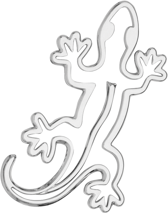 Eumeces (653x800), Png Download