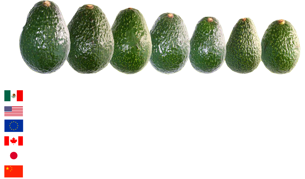 Calibres - Avocado (1000x640), Png Download