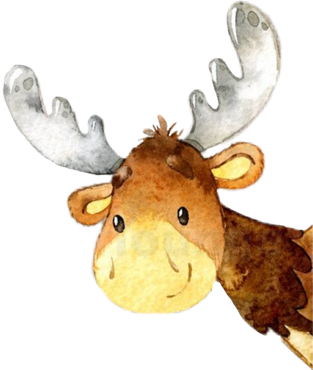 Moose Sticker - Moose (1024x1208), Png Download