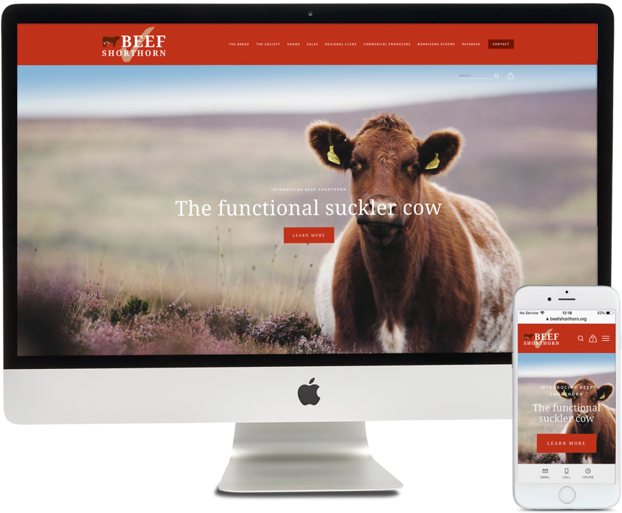 Beefshorthorn-website - Led-backlit Lcd Display (1000x850), Png Download