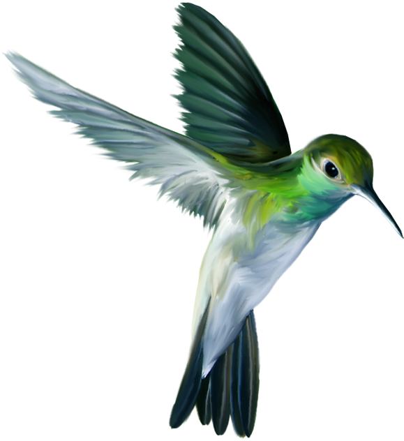 Clip Royalty Free Photo Zps Ef Png Tattoo Ideas Pinterest - Animals And Birds Png (600x665), Png Download