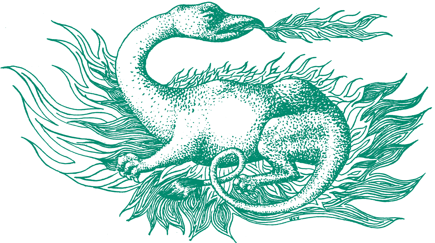 Insead Salamander (1840x1259), Png Download