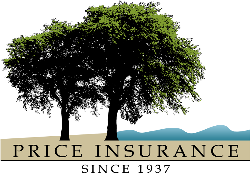 Woodlands Sponsors ~ - Tree With Roots (900x625), Png Download