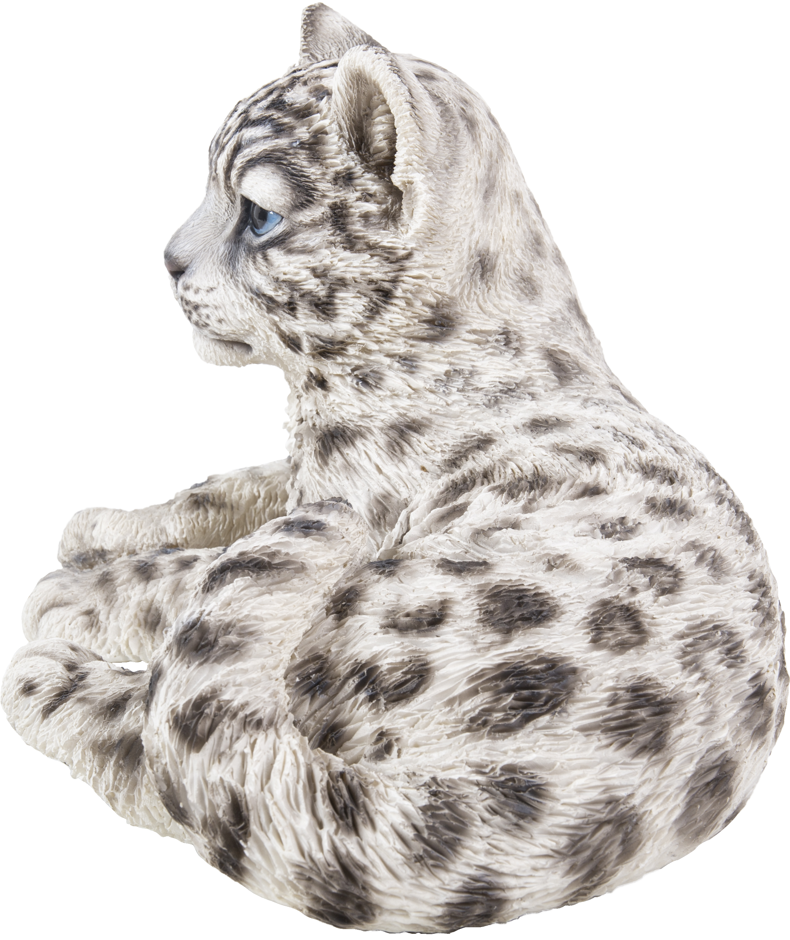 Snow Leopard (2781x3262), Png Download